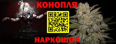 стафф Кинель