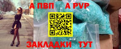 шишки Кингисепп